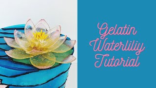 Edible Gelatin Bubbles shorts [upl. by Marco]