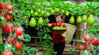 60 Busy Days Harvesting Crops Go to Market to Sell Spring Crop Care Animal Care Green Garden Care [upl. by Haberman83]