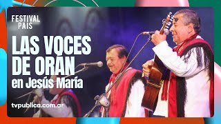 Las voces de Orán en Jesús María  Festival País 2024 [upl. by Stroup916]