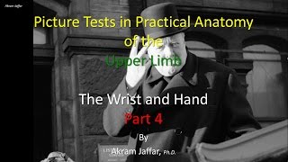 Picture Test in upper limb Anatomy Wrist and Hand 4 [upl. by Wolbrom595]