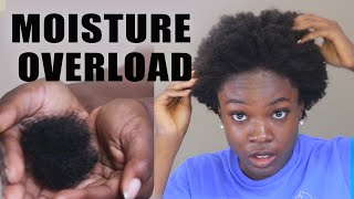 RUINING MY HAIR MOISTURE OVERLOAD HYGRAL FATIGUE EXPLAINED [upl. by Novi109]