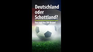 Deutschland oder Schottland Wir fragten das Balinger EMOrakel [upl. by Daveta142]