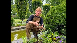 Untermyer Gardens Conservancy Summer Annuals With Drew Schuyler Introduced by Timothy Tilghman [upl. by Suzzy]