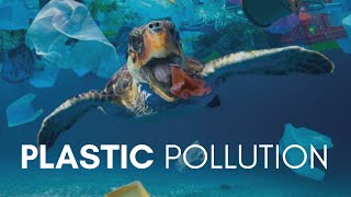 Plastic Pollution Video [upl. by Alban217]