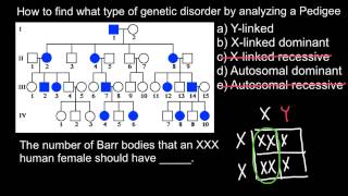 How to find type of Genetic Disorder by Analyzing a Pedigree [upl. by Dardani]