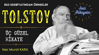 Tolstoy  Seçilmiş Hikayeler  Rus Edebiyatından Sesli Kitaplar [upl. by Annadiane]