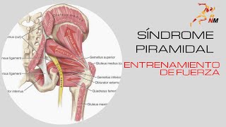 SiÌndrome Piramidal y Entrenamiento de Fuerza [upl. by Engel489]