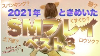 【2021年最もときめいたSMプレイベスト３】あの“赤柳徹子”さんとの対談動画です🐶 [upl. by Luci]