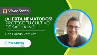 Aliados para el control de Nematodos en Sacha Inchi con Camilo Ramírez de Inbacter 🌱 [upl. by Meeks]