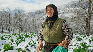 Kara Havvanın Geçmişe Ağıtı  Belgesel [upl. by Vedetta]