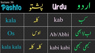 50 pashto basic words meaning  learn pashto vocabulary  pashto zuban k 50 important alfaz mani [upl. by Assinna]