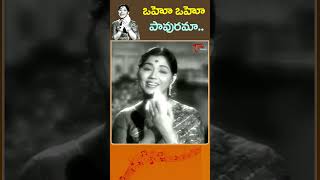 ఒహో ఒహో పావురమాUltimate Melody Song  Oho Oho Pavurama Song ManchiManasulu shorts youtubeshorts [upl. by Neilson529]