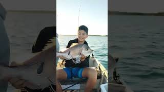 Snapper caught on Bribie Island [upl. by Eednus]