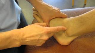 Lateral Malleolus Fibula Ankle Palpation [upl. by Adiehsar]