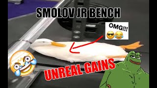 Smolov Jr for Bench  20lb PB  ROAD TO 405 [upl. by Anircam]