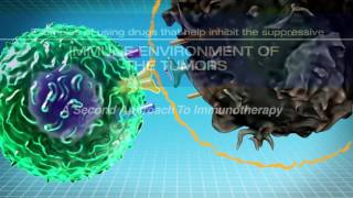 IMMUNOTHERAPY The Path to a Cancer Cure For Clinicians [upl. by Aisac]