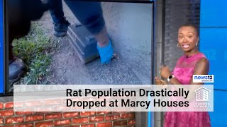 news12 NYCHA Reduces Rat Burrows by Over 90 [upl. by Naples541]