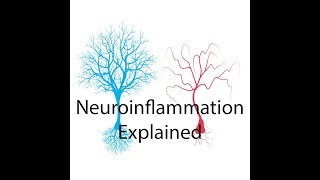 Neuroinflammation Explained [upl. by Novled]