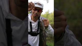 Fishing for Snakehead in florida  Bullseye Snakehead [upl. by Solracesoj]