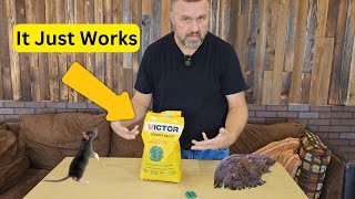 Say Goodbye to Rodents Victor M925 Rodent Killer Review – A Homestead MustHave  Victor M925 [upl. by Nnagrom128]