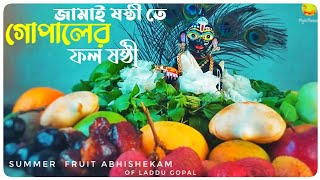 Jamai shosti vidhi পালন করার সাথে gopal shasti vidhi পালন করুন  Laddu gopal summer fruit abhishek [upl. by Rudelson707]