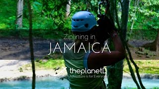 Zip Line in Jamaica [upl. by Ahselef681]