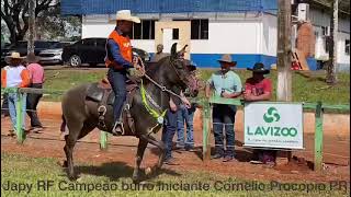 CAMPEÃO CORNELIO PROCOPIO PR [upl. by Ziagos735]