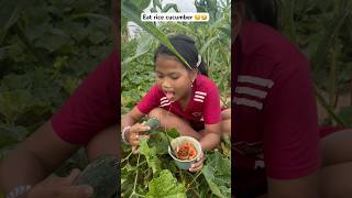 Eat rice cucumber 😂🤤 funny wildrice edit អូសបាក់ [upl. by Thema]