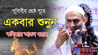 আমলী বয়ান শুনলে কলিজা ঠান্ডা হয়ে যায়  Mufti Mostakon Nobi  New Bangla waz  হাকীমুন নফস [upl. by Llenral]