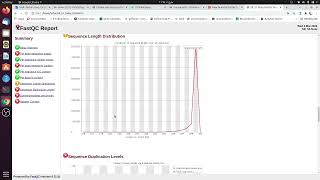 FASTQ quality check FastQC  Step 3 [upl. by Nyrehtak]