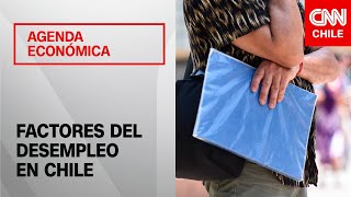 Tasa de desempleo en Chile alcanza el 87  Agenda Económica [upl. by Rovelli]