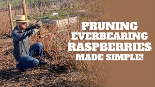 Quick Tip Pruning Everbearing Raspberries in January [upl. by Andras381]