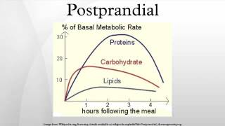 Postprandial [upl. by Renick]