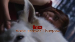 Marko Perković Thompson  Rosa Official lyric video [upl. by Lam]