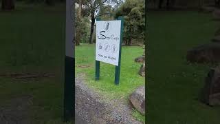 The 1000 Steps Cafe Dandenong Ranges National Park Victoria shorts youtubeshorts melbourne viral [upl. by Ennaitsirhc627]