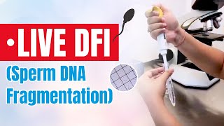 Live DFI Sperm DNA Fragmentation Test  Omya Fertility [upl. by Plante314]