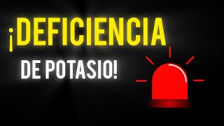 3 Síntomas de FALTA de POTASIO  Señales de DEFICIENCIA de POTASIO [upl. by Quennie]