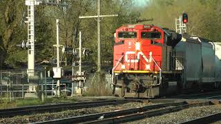 CN Train 368 Eastbound May 2 2024 [upl. by Nitsed]