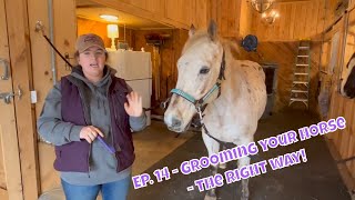 Ep 14  Horse Grooming  Tips and tricks for properly grooming your horse [upl. by Radack907]