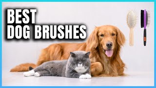 Top 10 Best Dog Brushes  Extreme Reviewer [upl. by Wallinga388]