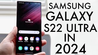 Samsung Galaxy S22 Ultra In 2024 Still Worth Buying Review [upl. by Heid]