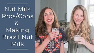 Nut Milk ProsCons and Making Brazil Nut Milk Recipe [upl. by Weihs896]