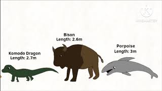 Animals Size Comparison [upl. by Nohs]