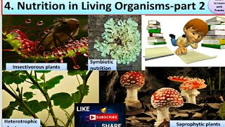 Nutrition in living organismspart 2  STD  7 th Science [upl. by Lac]