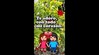 ❤️ Te amo a la Distancia ❤️ Poema de Amor shorts [upl. by Anerbas962]