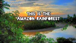 This is the Amazon 🌴  Rainforest Tours Brazil 🇧🇷  Off Roads Travel [upl. by Ramyaj260]