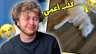 اذا بتبكي انت مش زلمة  اتحداك ما تبكي [upl. by Winser591]