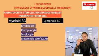 HAEMATOLOGY  LEUKOPOIESIS  WHITE BLOOD CELLS FORMATION [upl. by Waylin]