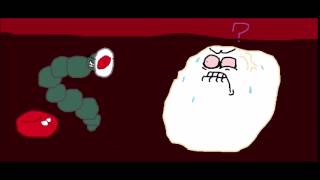 The Bacteria Brothers  White Blood Cells Amoeba Sisters Parody [upl. by Joost88]