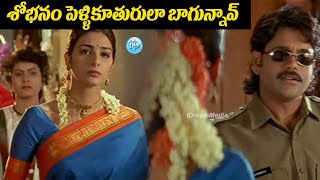 King Nagarjuna Superhit Movie Avida Maa Avide Comedy Scene  Nagarjuna  Taboo  iDream Kurnool [upl. by Nanda]